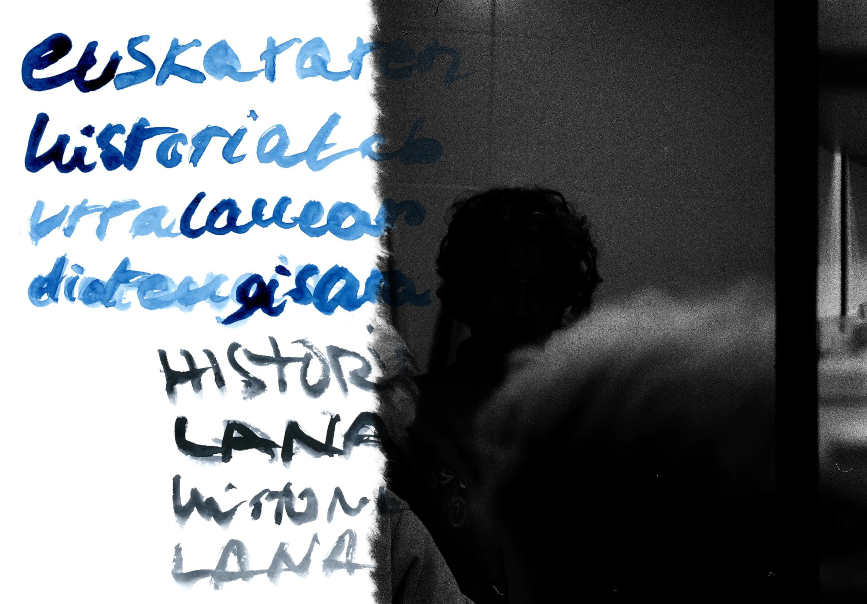 «Todos lo vemos: el euskera se ha perdido» «Danok ikusten degu: euskera galdu da»