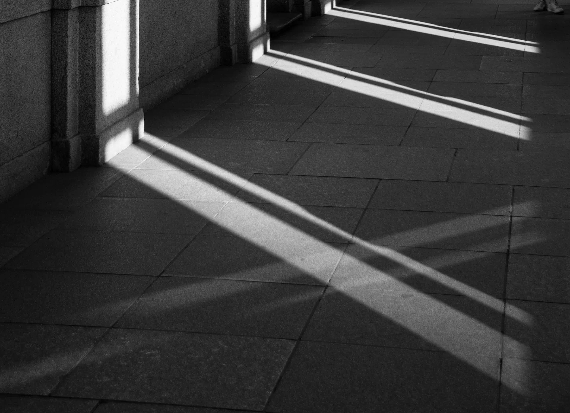 Okupazioaren kontrako ofentsibaren bi agente: putre funtsak eta klase ertain propietarista