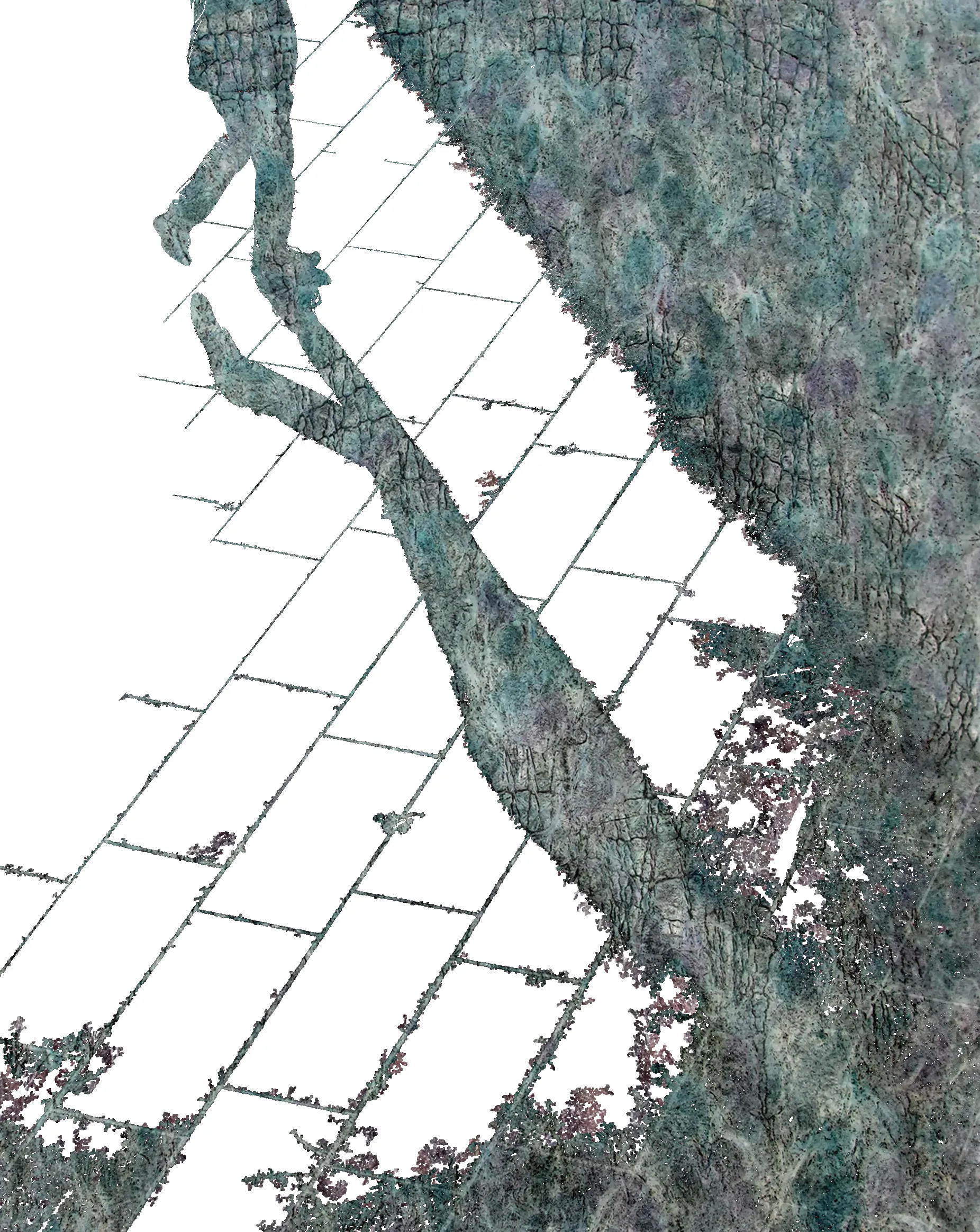 Kapitalismoa eta migrazioa